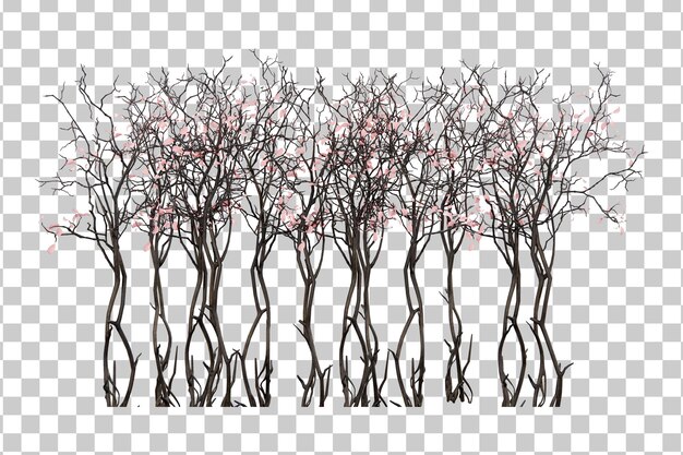 Isometrische kersenbloesem plant 3D-rendering