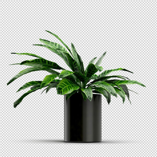 Isometrische Plant 3D-rendering