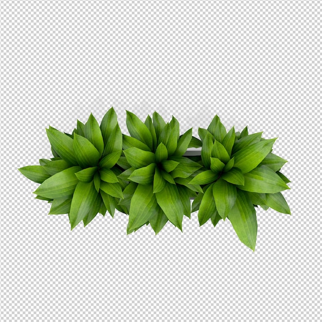 PSD isometrische plant 3d-rendering