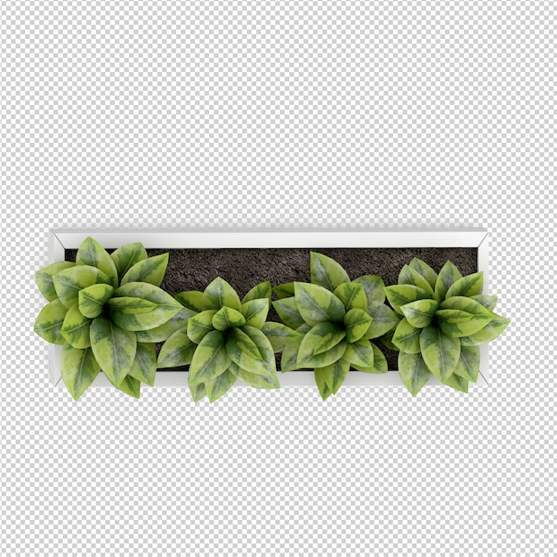Isometrische Plant 3D-rendering