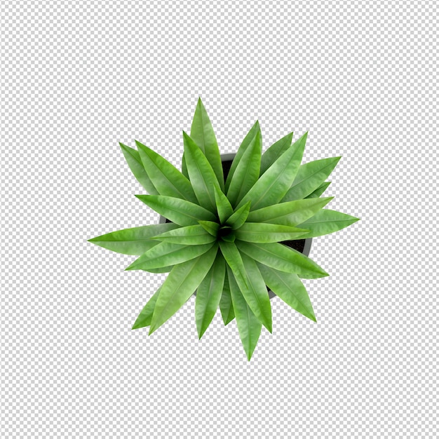 Isometrische Plant 3D-rendering