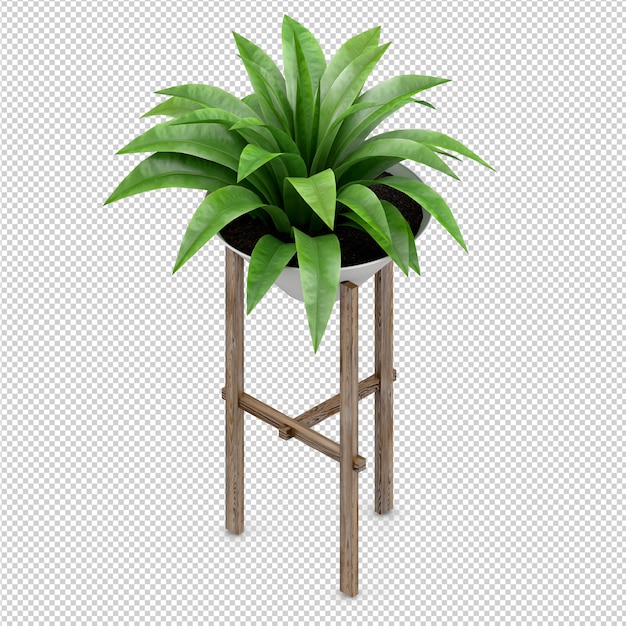 Isometrische plant 3d-rendering