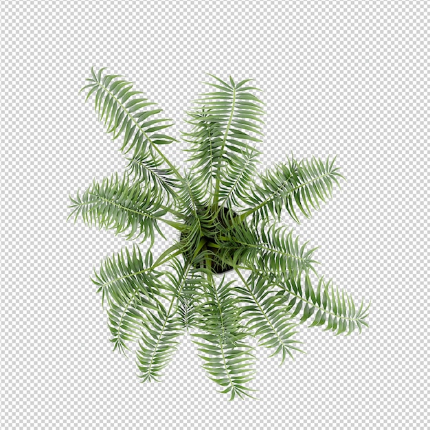 Isometrische plant 3d-rendering