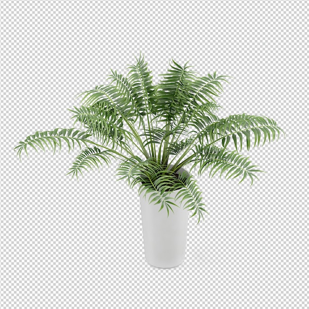 Isometrische plant 3d-rendering