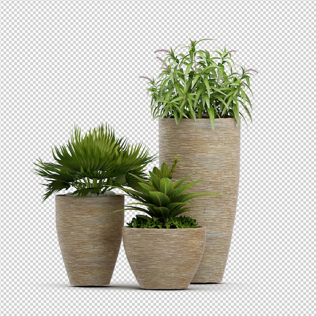 Isometrische Plant 3D-rendering