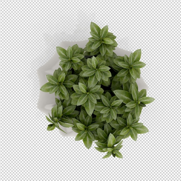 Isometrische Plant 3D-rendering