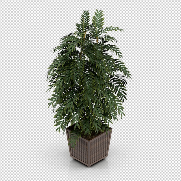 Isometrische plant 3d-rendering