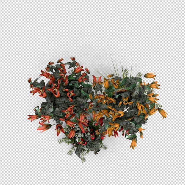 Isometrische plant 3d-rendering