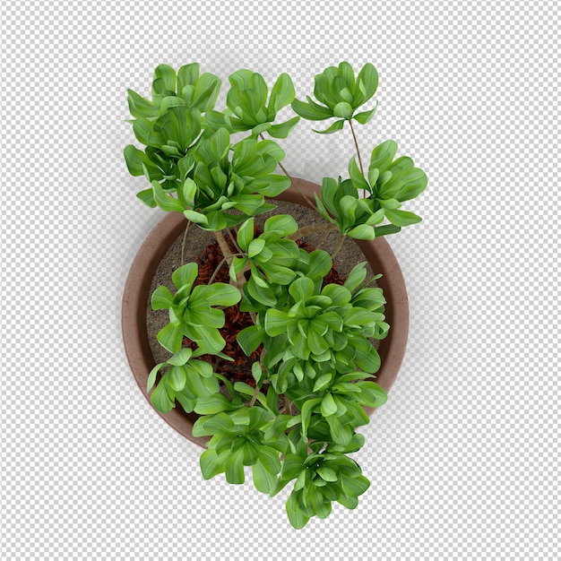 PSD isometrische plant 3d-rendering