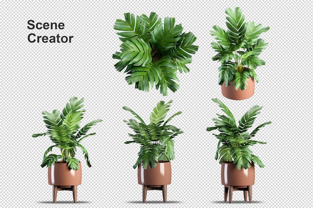 Isometrische plant 3d-rendering