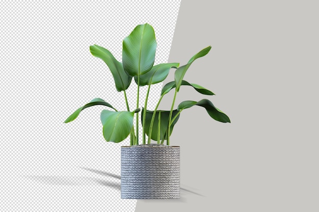 Isometrische plant 3d-rendering