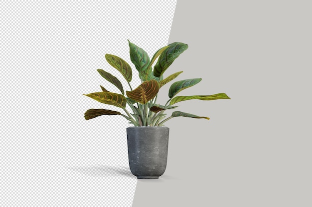 Isometrische plant 3d-rendering