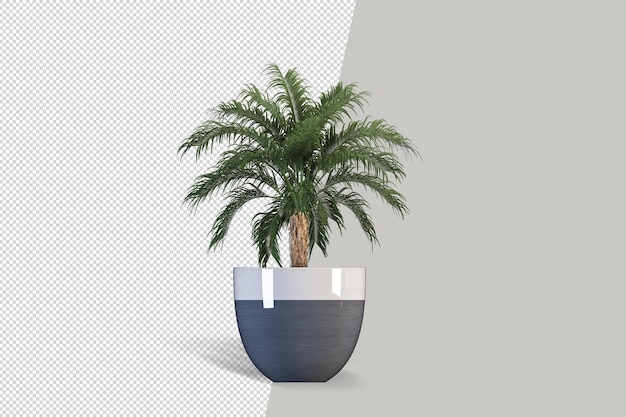 Isometrische plant 3D-rendering