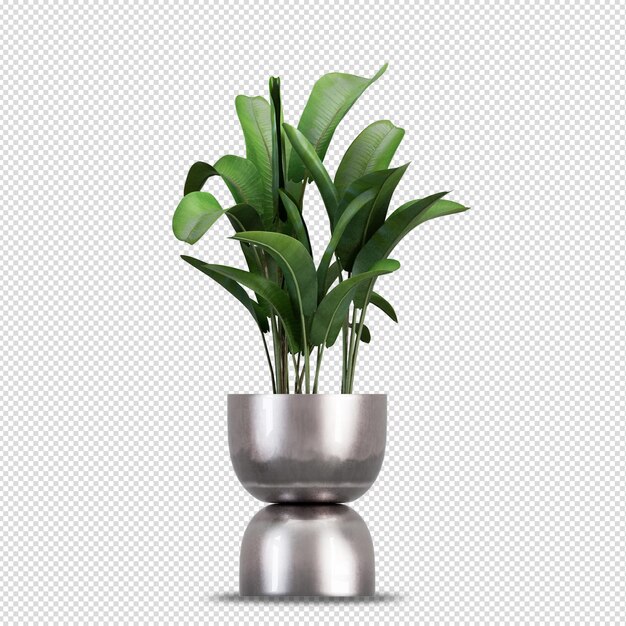 PSD isometrische plant 3d-rendering