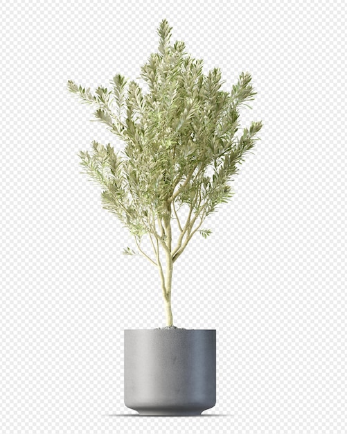 Isometrische plant 3d-rendering