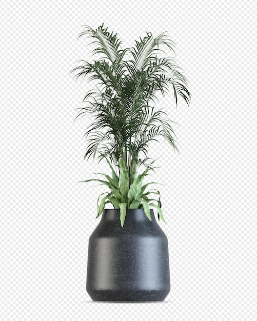 Isometrische plant 3d-rendering
