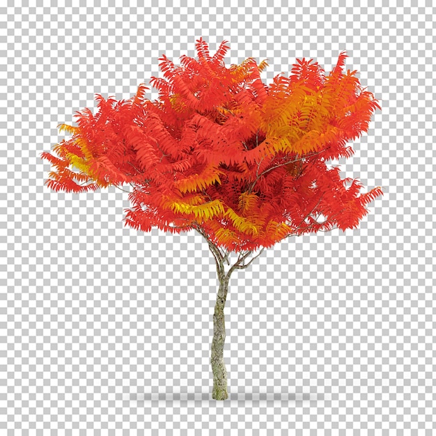 Isometrische plant in 3d-rendering