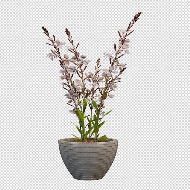 Isometrische plant in 3d-rendering