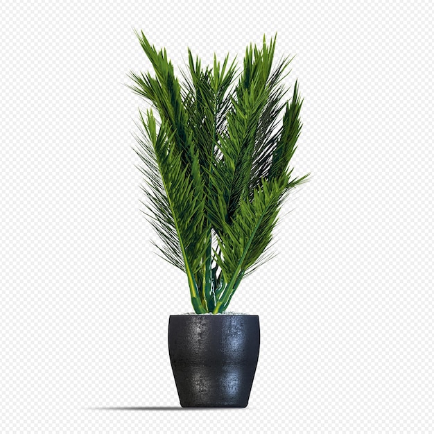 PSD isometrische plant in decorpot in 3d-rendering