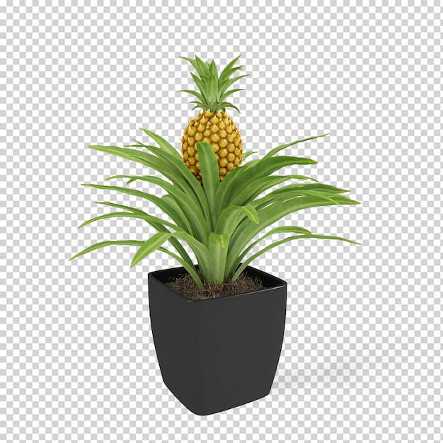 Isometrische plant in pot 3d-rendering