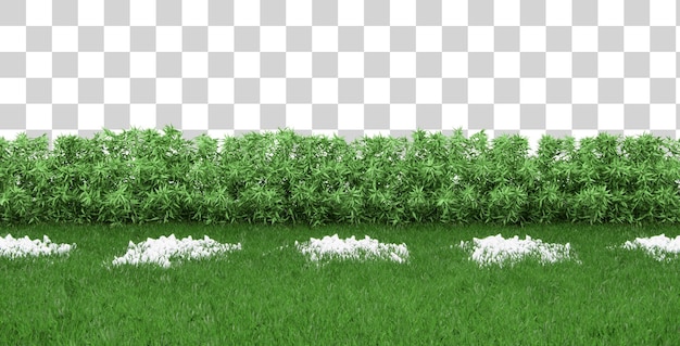 Isometrische tuin met planten 3D-renderingscène