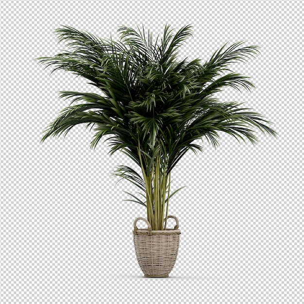 Isometrisk plante 3D-rendering