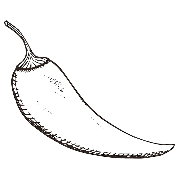 Italiaans krijt voedsel geïsoleerd