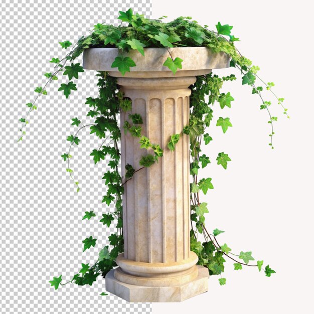 PSD ivy on marble pillar on transparent background