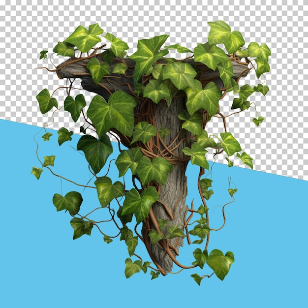 PSD ivy realistic