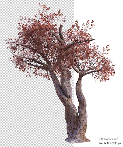 İzole edilmiş fantastik ağaç 3D render