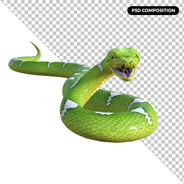 İzole edilmiş piton yılanı 3D render