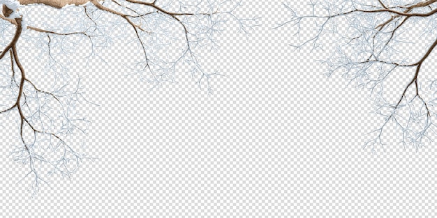 PSD izolowane pokryte śniegiem gałęzie na białym.