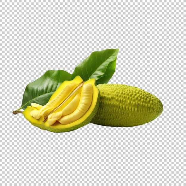 PSD jack fruit on psd transparent background excotic fruit vegetables