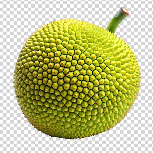 Jackfruiton isolated on transparent background