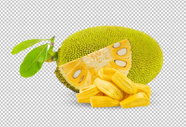 PSD 알파 레이어에 jackfruits