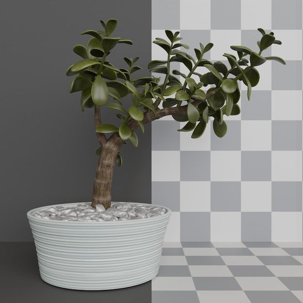 PSD jade succulent