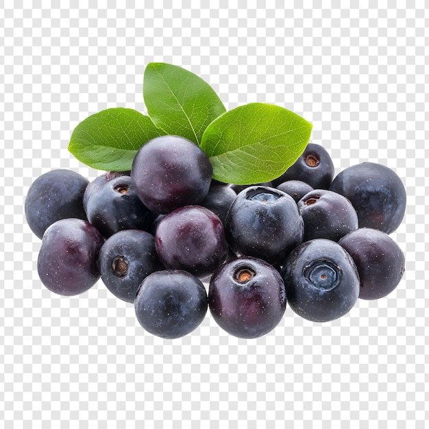 jagody wyizolowane na przezroczystej powierzchni