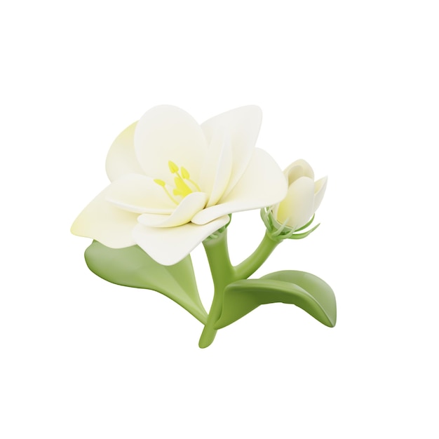 Jasmijn bloem 3d pictogram voor bloemen