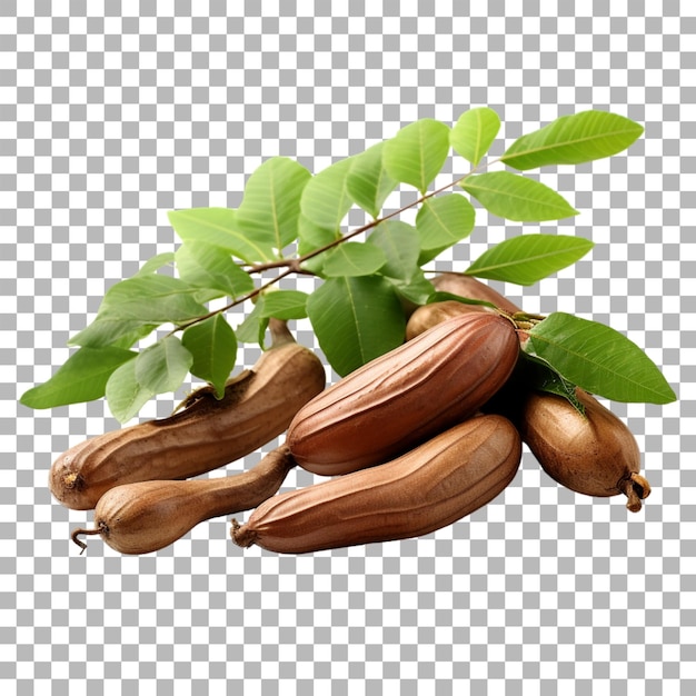 Javanese tamarind on transparent background