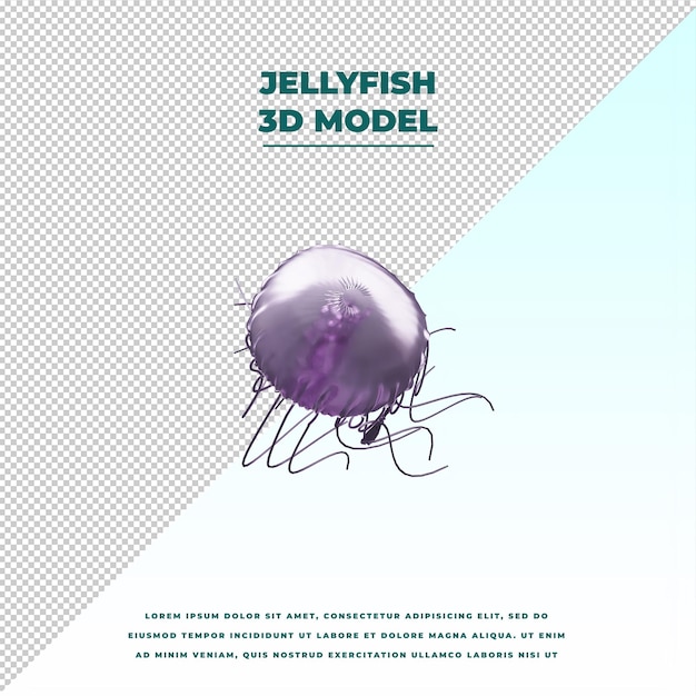 Jellyfish