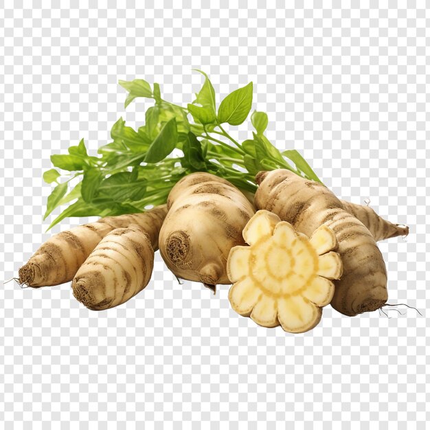 PSD jerusalem artichoke geïsoleerd op doorzichtige achtergrond