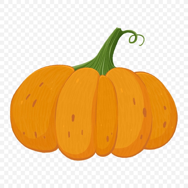 PSD juicy orange pumpkin. colored, textured vegetable. hand-drawn digital illustration