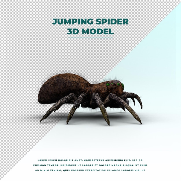 PSD jumping spider