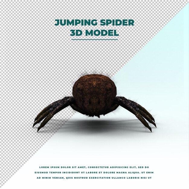 PSD jumping spider