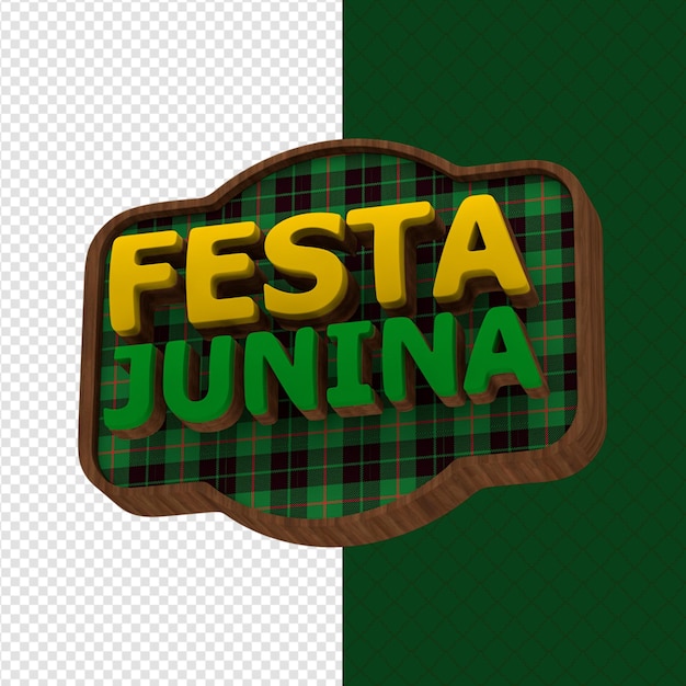 PSD festa di giugno 3