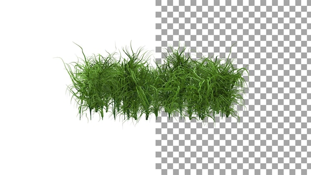 PSD jungle gras zonder schaduw 3d render