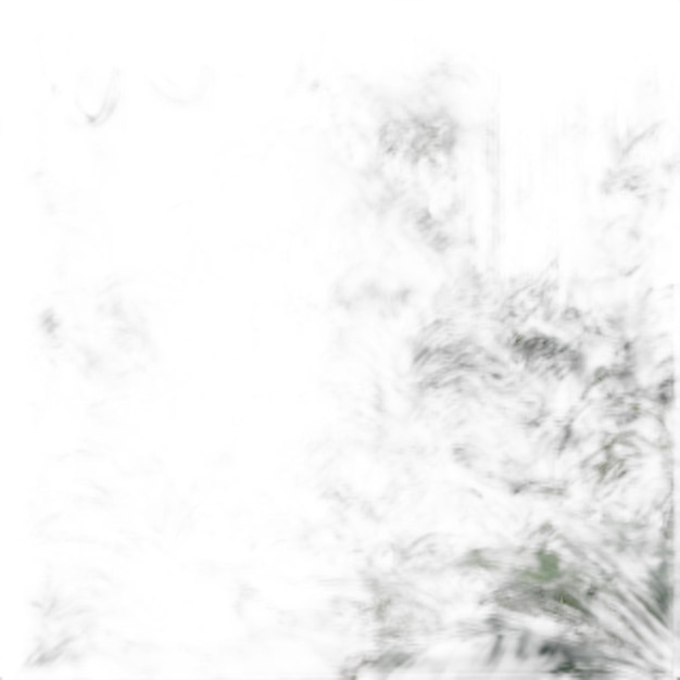 PSD jungle psd on a white background