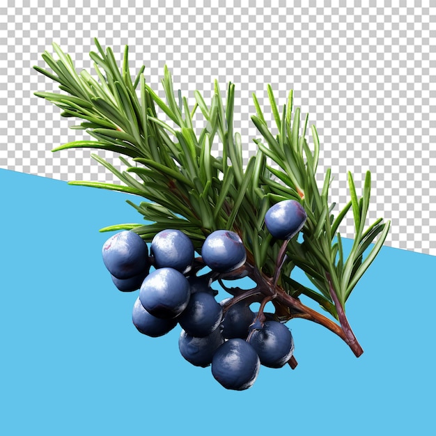 PSD juniper berry