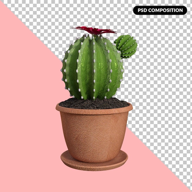 Kaktus ilustracja renderowania 3d