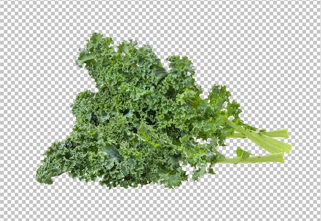 PSD kale leaves isolated on alpha layer